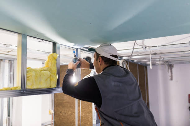 Best Wall Insulation Contractor  in Vaville, CA