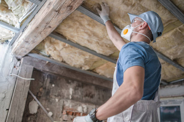 Best Insulation Replacement Services  in Vaville, CA